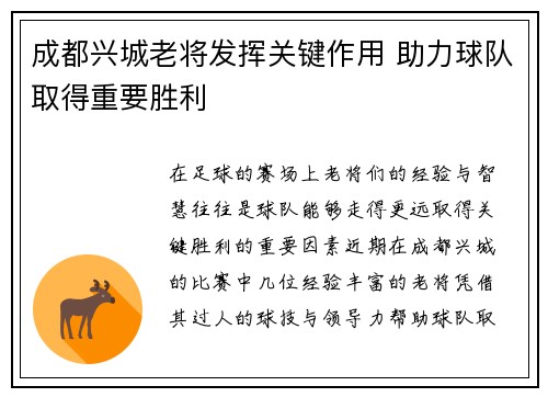成都兴城老将发挥关键作用 助力球队取得重要胜利
