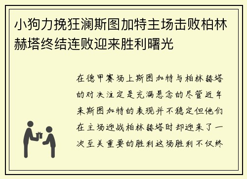 小狗力挽狂澜斯图加特主场击败柏林赫塔终结连败迎来胜利曙光